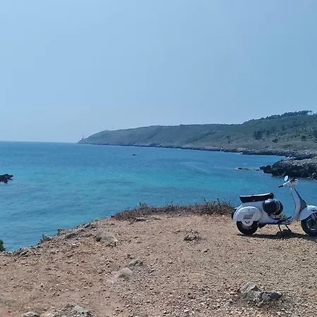 La Terrazza Sul Castello